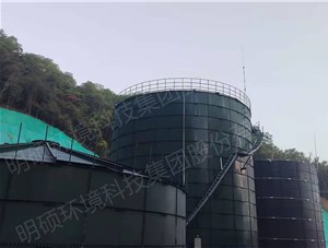 廣東金寶5000方禽畜糞便處理項目安裝中