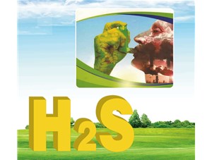 硫化氫安全防護(hù)七大注意事項(xiàng)