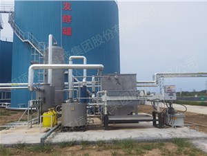 高密市糞污資源化利用沼氣脫硫工程