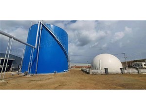 龍大景芝沼氣脫硫工程已安裝調(diào)試完成