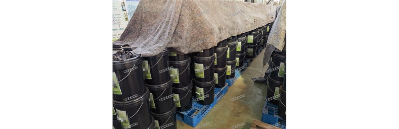 昌樂項(xiàng)目催化劑發(fā)貨