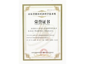 熱烈祝賀明碩環(huán)境集團獲得2021年度山東省循環(huán)經(jīng)濟科學技術獎二等獎